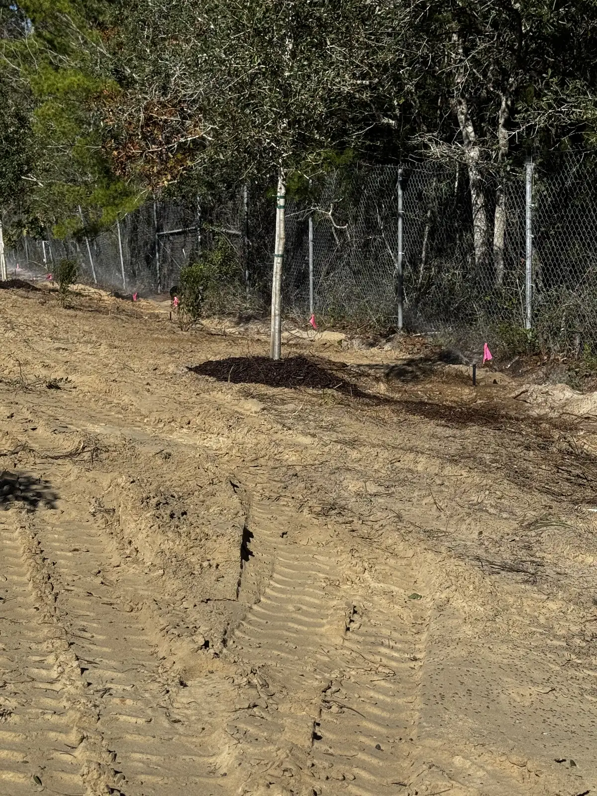 Cleared lot after forestry mulching