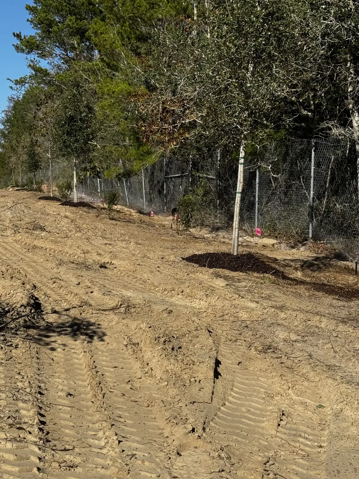 Forestry mulching equipment on job site