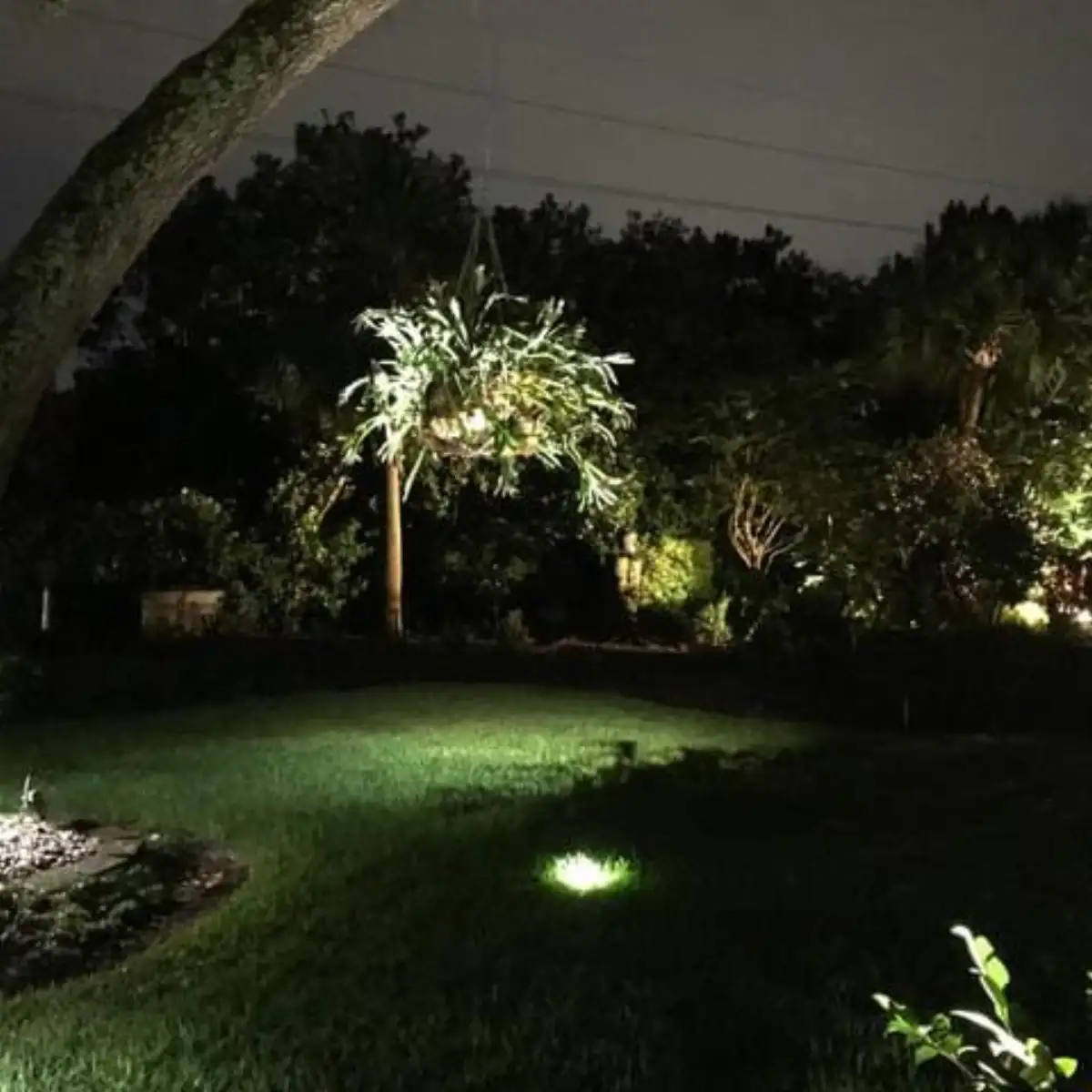 Landscape lighting enhancing curb appeal at night