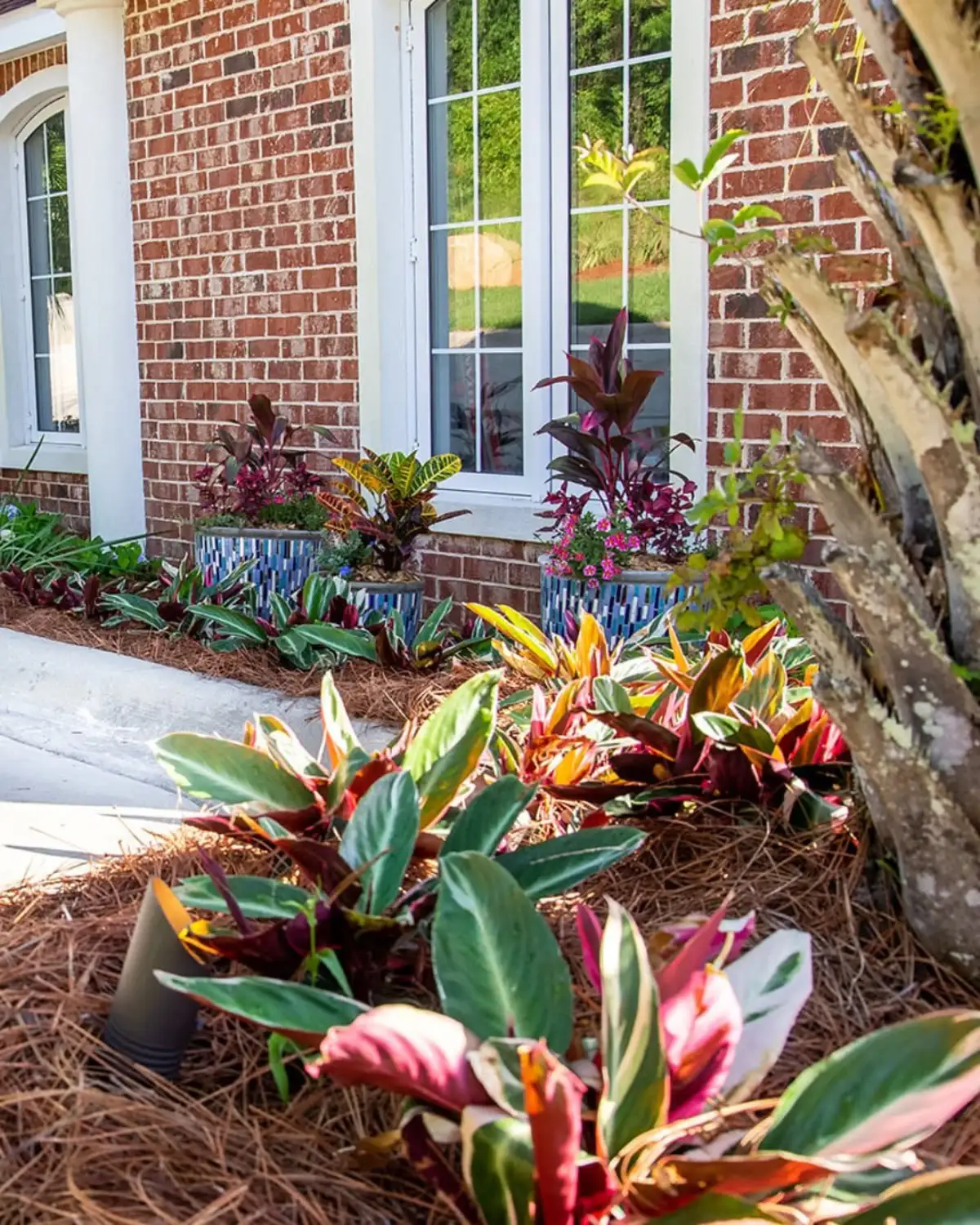 Full landscape installation with tropical plantings