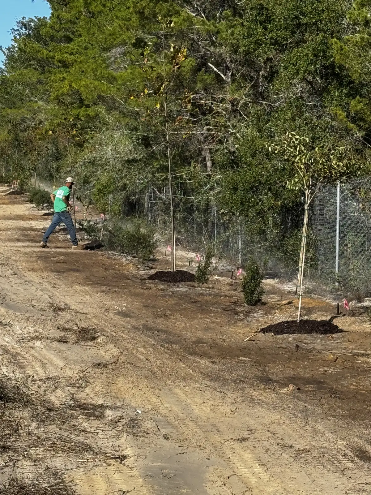 Cleared Gulf Coast property prepared for new landscape work